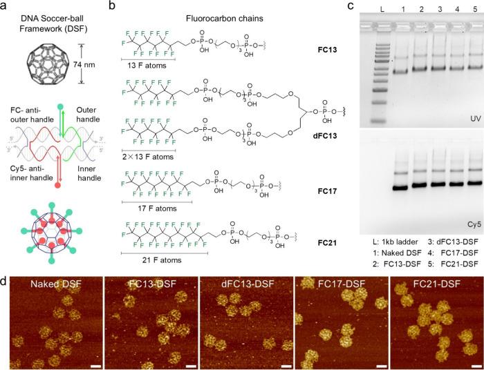 https://cdn.ncbi.nlm.nih.gov/pmc/blobs/7942/12308423/fb17b944bac3/au5c00474_0001.jpg