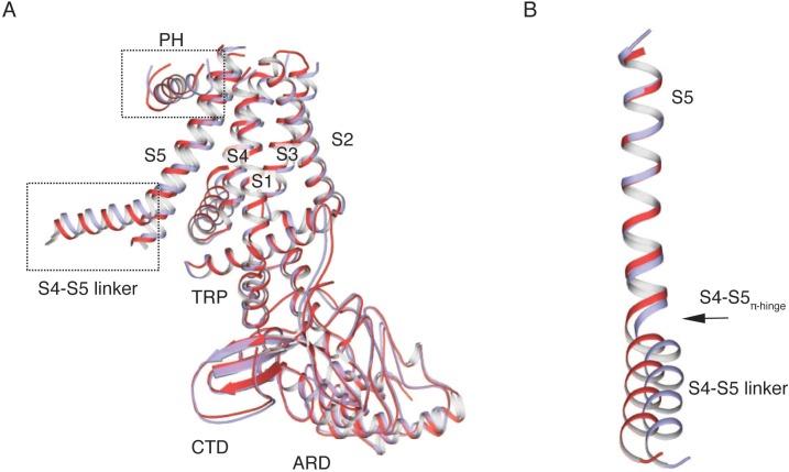 https://cdn.ncbi.nlm.nih.gov/pmc/blobs/7942/6544438/6f7815de6634/elife-45779-fig3-figsupp5.jpg
