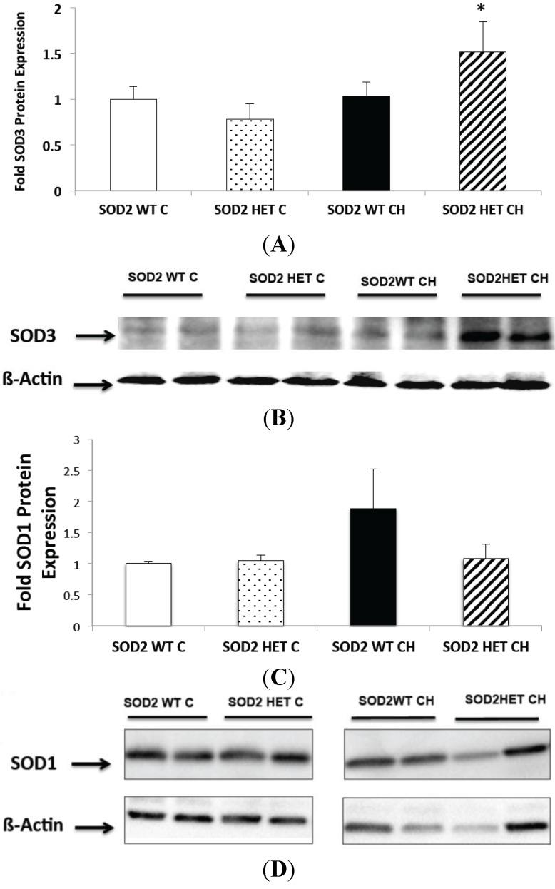 https://cdn.ncbi.nlm.nih.gov/pmc/blobs/7945/4394537/35517886593e/ijms-16-06373-g007.jpg