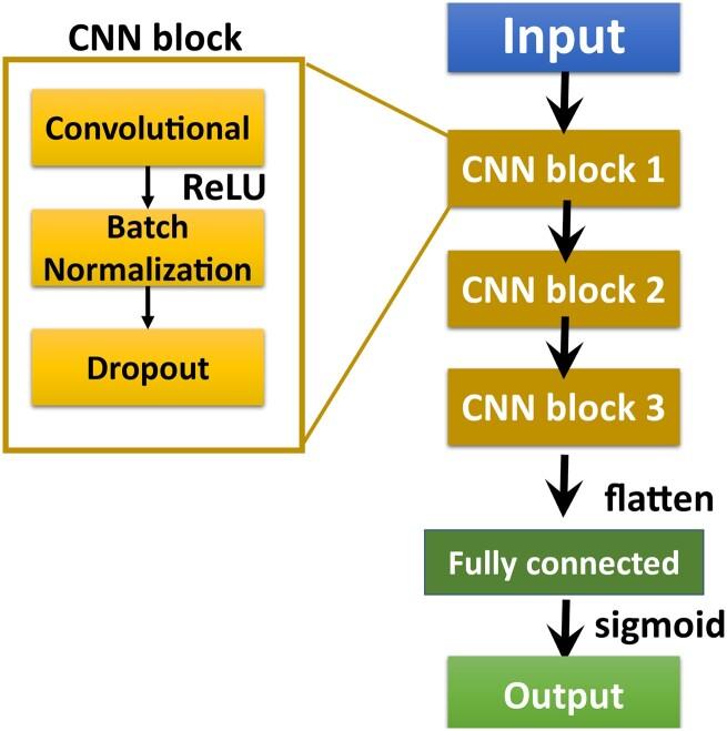 https://cdn.ncbi.nlm.nih.gov/pmc/blobs/7948/9710571/0230de880f35/vbac080f1.jpg
