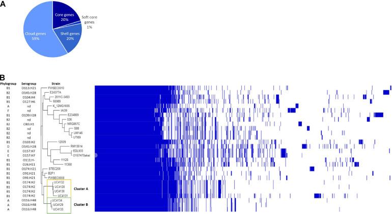 https://cdn.ncbi.nlm.nih.gov/pmc/blobs/794d/7882498/4bc328bc0d90/fmicb-11-629189-g001.jpg
