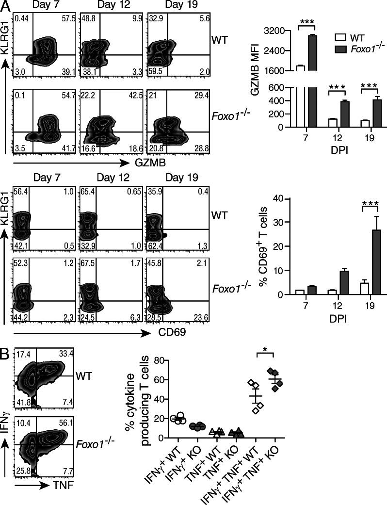 https://cdn.ncbi.nlm.nih.gov/pmc/blobs/794f/3674697/530107752aa3/JEM_20130392_Fig2.jpg