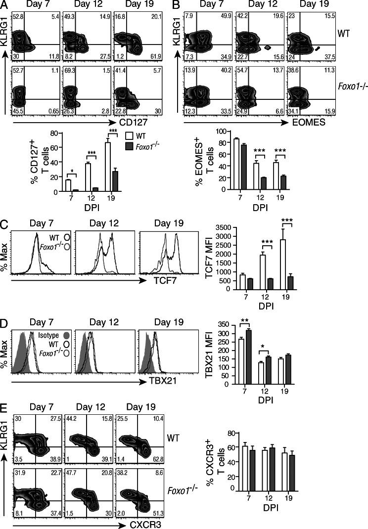 https://cdn.ncbi.nlm.nih.gov/pmc/blobs/794f/3674697/c22255895009/JEM_20130392_Fig3.jpg