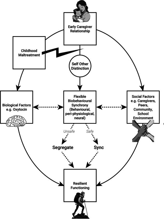 https://cdn.ncbi.nlm.nih.gov/pmc/blobs/7950/11436866/1688c7de00aa/41398_2024_3092_Fig3_HTML.jpg