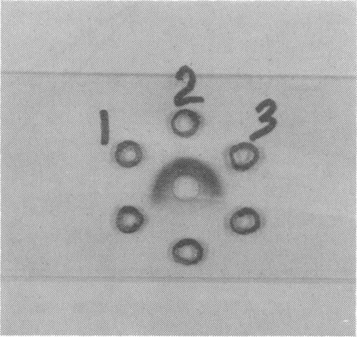 https://cdn.ncbi.nlm.nih.gov/pmc/blobs/7951/215257/87e2dbf3638a/jbacter00237-0042-a.jpg