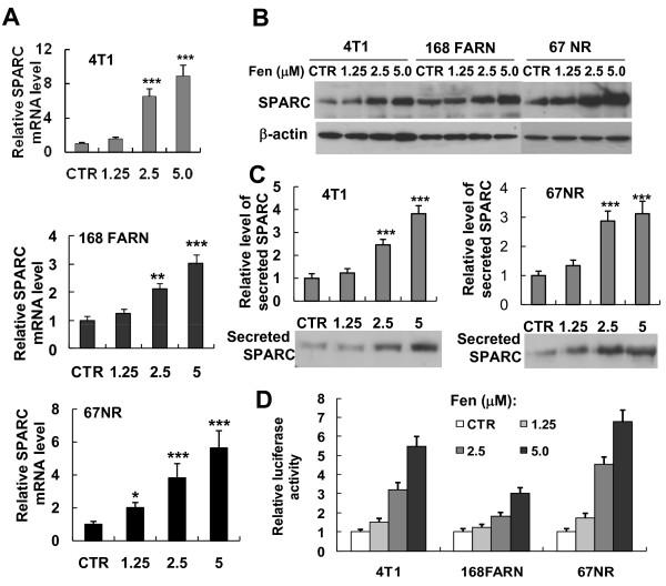 https://cdn.ncbi.nlm.nih.gov/pmc/blobs/7951/2924311/86b05859889d/1476-4598-9-210-7.jpg