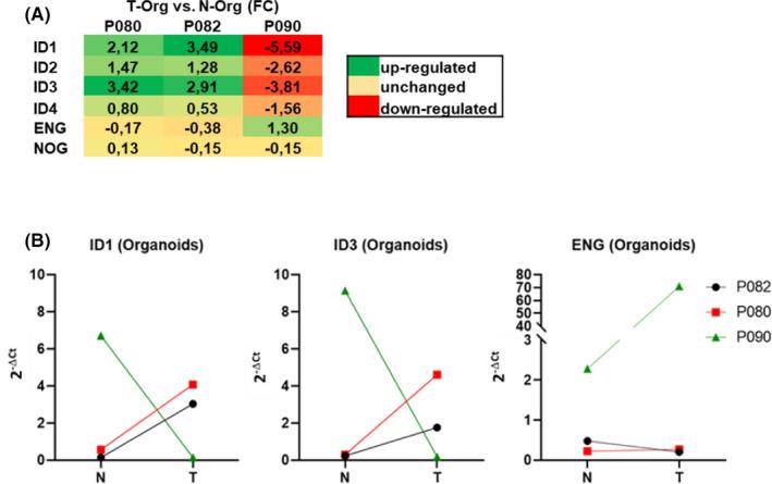 https://cdn.ncbi.nlm.nih.gov/pmc/blobs/7953/8743662/57c3894962d2/JCMM-26-343-g002.jpg