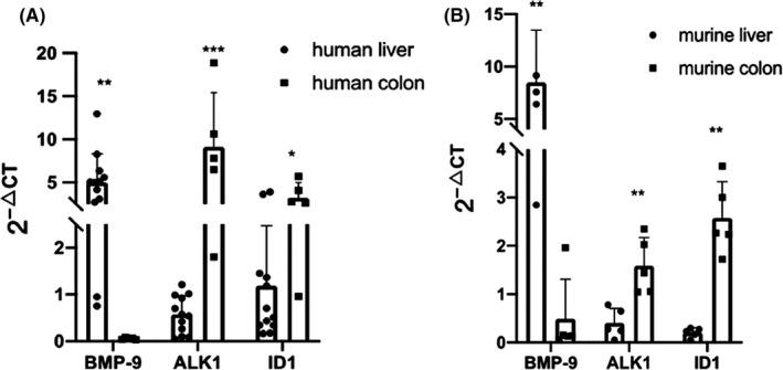 https://cdn.ncbi.nlm.nih.gov/pmc/blobs/7953/8743662/e890a0fa0f1c/JCMM-26-343-g001.jpg