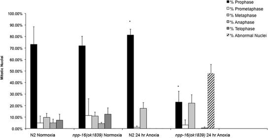 https://cdn.ncbi.nlm.nih.gov/pmc/blobs/7958/2828959/f1d2ba23a225/zmk0051093600004.jpg
