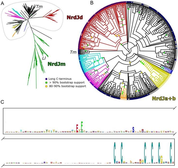 https://cdn.ncbi.nlm.nih.gov/pmc/blobs/7958/5704485/7f59d945e5fc/zbc0491777400001.jpg