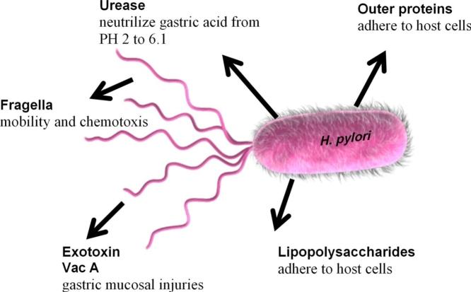 https://cdn.ncbi.nlm.nih.gov/pmc/blobs/7958/7248673/15f4fa85abb9/fx1.jpg