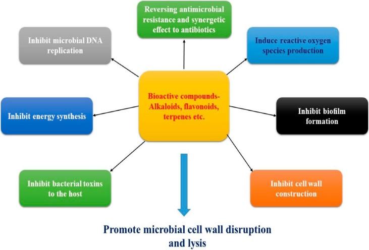https://cdn.ncbi.nlm.nih.gov/pmc/blobs/7958/7248673/b93ac1fdecfc/gr2.jpg