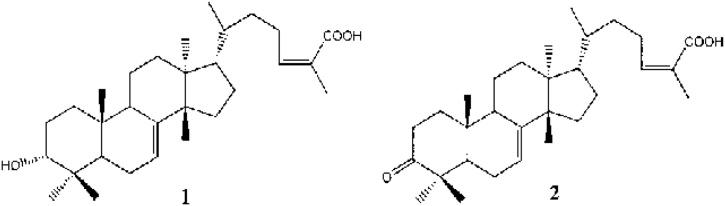 https://cdn.ncbi.nlm.nih.gov/pmc/blobs/7958/7248673/c937f42d224f/gr3.jpg