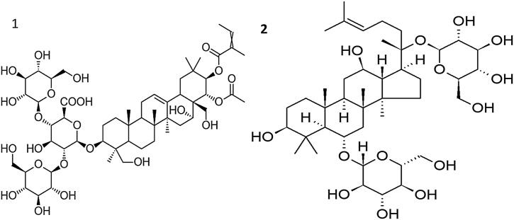 https://cdn.ncbi.nlm.nih.gov/pmc/blobs/7958/7248673/f0b6ac8921d9/gr5.jpg