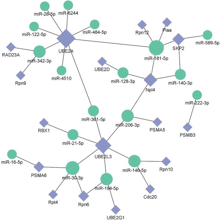 https://cdn.ncbi.nlm.nih.gov/pmc/blobs/7958/9892846/7ff3beb9918d/fgene-14-1088191-g013.jpg