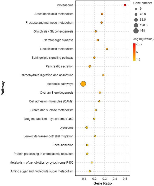 https://cdn.ncbi.nlm.nih.gov/pmc/blobs/7958/9892846/7ff6a9ca3833/fgene-14-1088191-g006.jpg