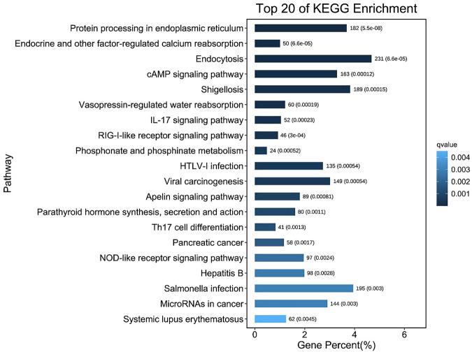 https://cdn.ncbi.nlm.nih.gov/pmc/blobs/7958/9892846/aaf822bcf9e8/fgene-14-1088191-g009.jpg