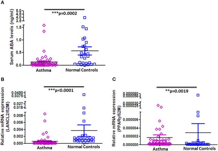 https://cdn.ncbi.nlm.nih.gov/pmc/blobs/7959/8217626/0a17b9269058/fmed-08-676058-g0003.jpg