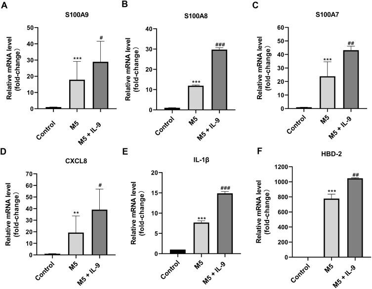 https://cdn.ncbi.nlm.nih.gov/pmc/blobs/795a/10460594/b3b2c8c116da/CCID-16-2297-g0004.jpg