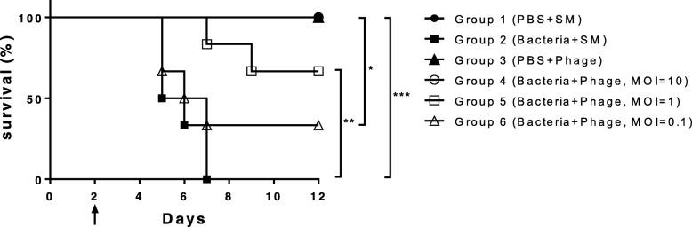 https://cdn.ncbi.nlm.nih.gov/pmc/blobs/795a/6444642/6266214d9a01/12866_2019_1443_Fig5_HTML.jpg