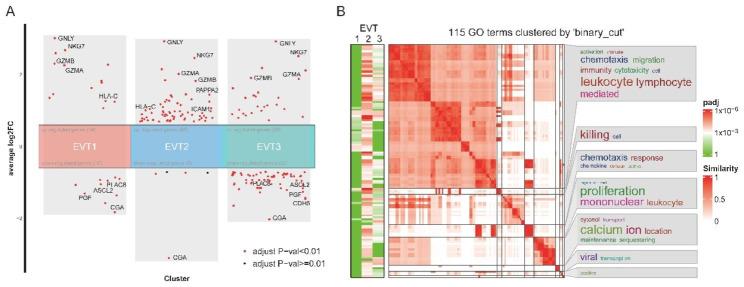 https://cdn.ncbi.nlm.nih.gov/pmc/blobs/795c/10583354/17b7801dd21d/12864_2023_9690_Fig8_HTML.jpg