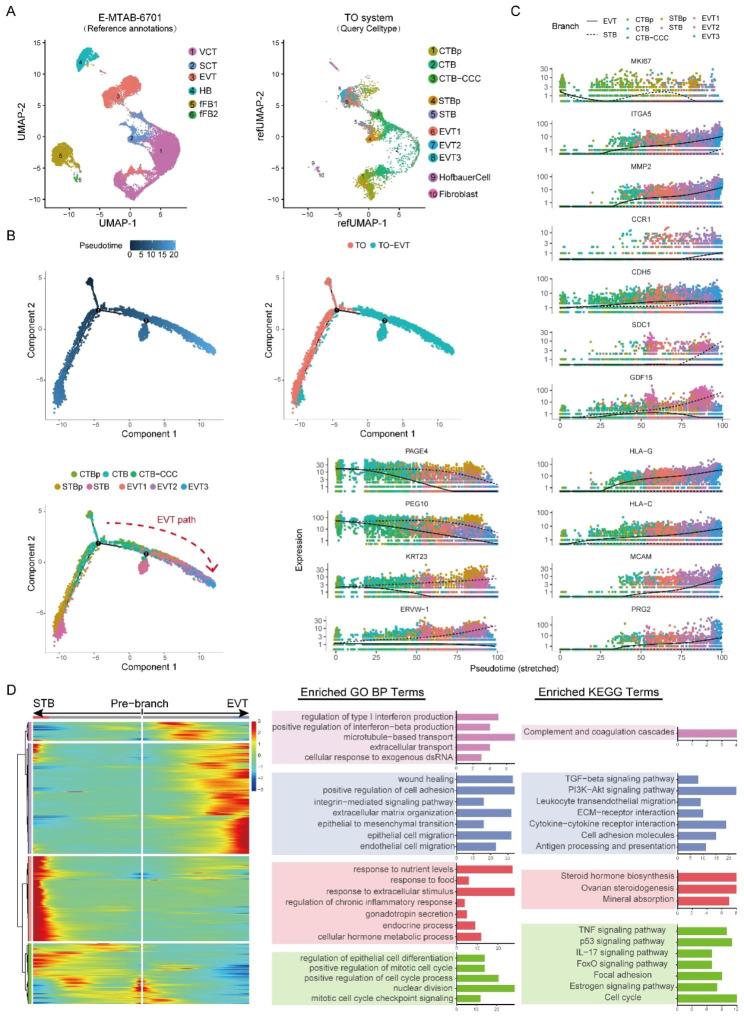 https://cdn.ncbi.nlm.nih.gov/pmc/blobs/795c/10583354/639695b18f06/12864_2023_9690_Fig4_HTML.jpg