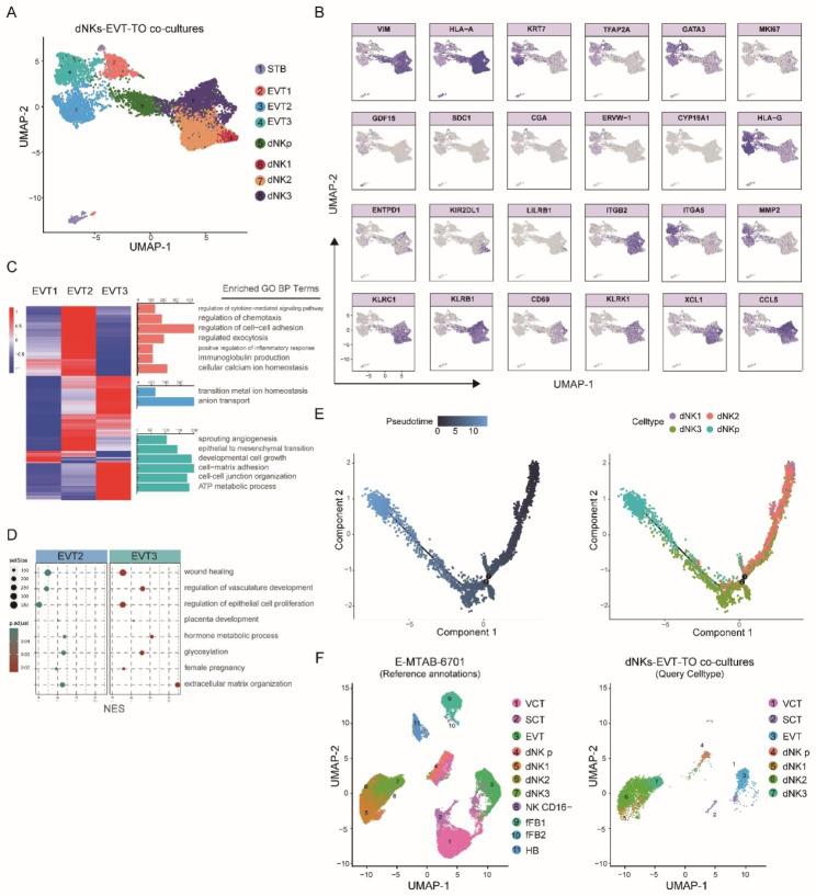 https://cdn.ncbi.nlm.nih.gov/pmc/blobs/795c/10583354/b2a703e6f008/12864_2023_9690_Fig6_HTML.jpg