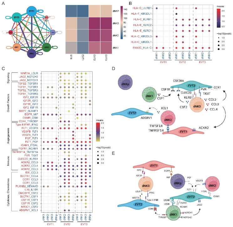 https://cdn.ncbi.nlm.nih.gov/pmc/blobs/795c/10583354/d05d59655ef8/12864_2023_9690_Fig7_HTML.jpg