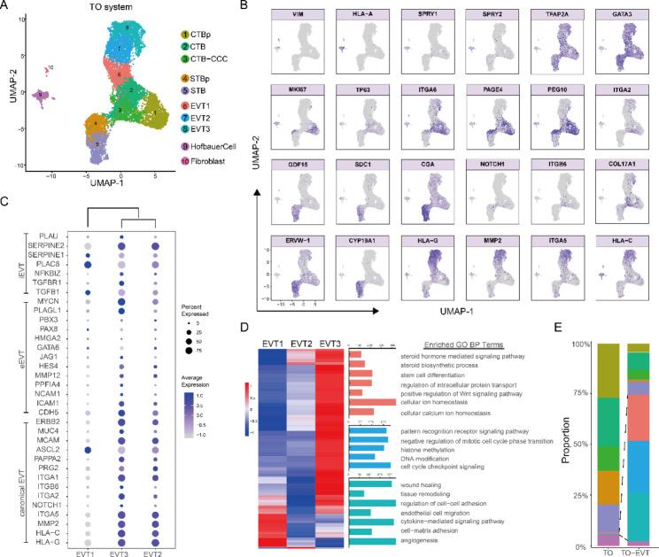 https://cdn.ncbi.nlm.nih.gov/pmc/blobs/795c/10583354/eee198dccf41/12864_2023_9690_Fig3_HTML.jpg