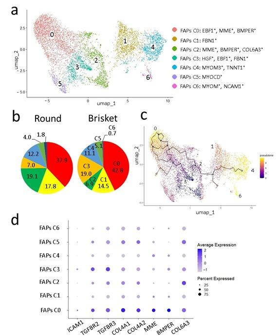 https://cdn.ncbi.nlm.nih.gov/pmc/blobs/795c/12029141/66e6421e61f0/metabolites-15-00231-g009.jpg