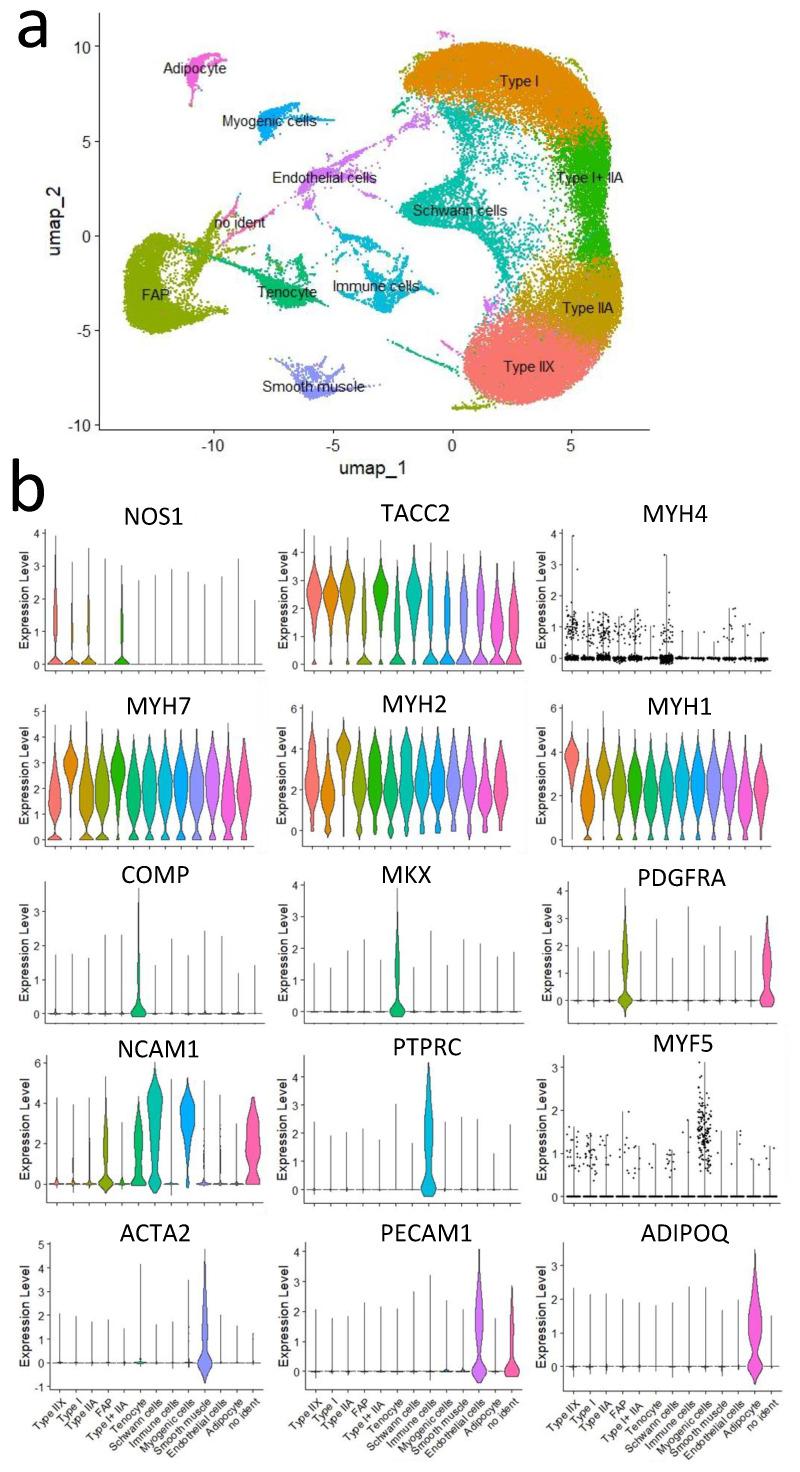 https://cdn.ncbi.nlm.nih.gov/pmc/blobs/795c/12029141/d07c0268c795/metabolites-15-00231-g004.jpg