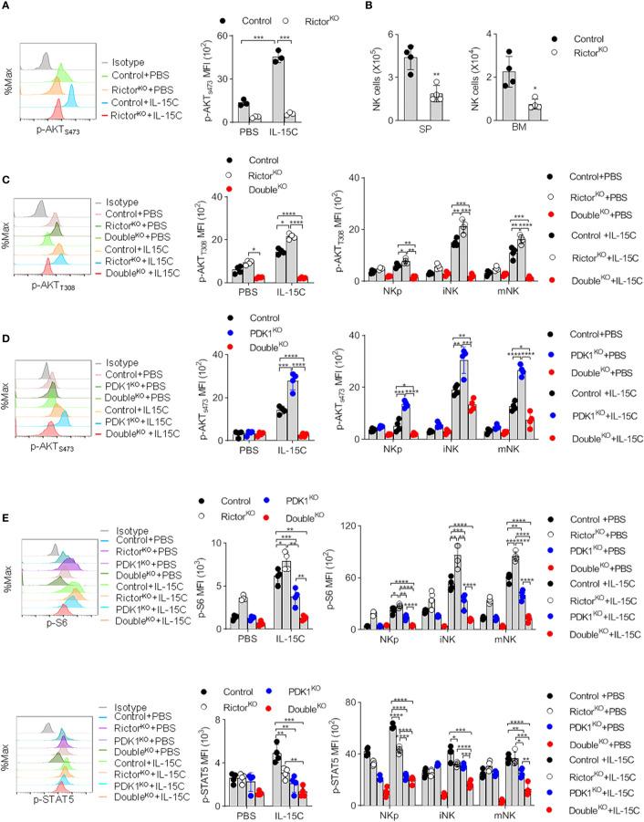 https://cdn.ncbi.nlm.nih.gov/pmc/blobs/795e/7901528/64c0d6d2275c/fimmu-11-617404-g002.jpg