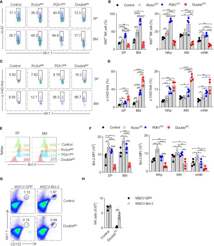https://cdn.ncbi.nlm.nih.gov/pmc/blobs/795e/7901528/7ae1a7daabde/fimmu-11-617404-g007.jpg
