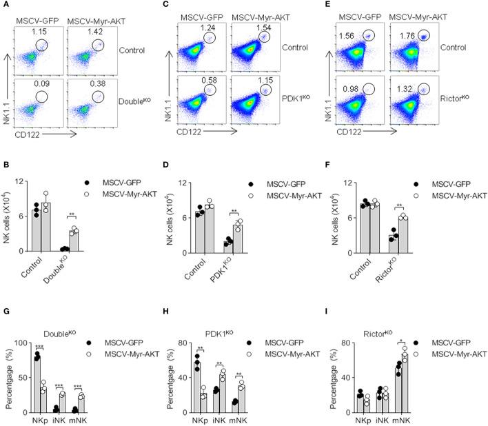 https://cdn.ncbi.nlm.nih.gov/pmc/blobs/795e/7901528/c17fe841dca8/fimmu-11-617404-g005.jpg