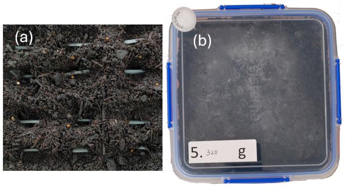 https://cdn.ncbi.nlm.nih.gov/pmc/blobs/795f/12349505/ac7f5ac6ba39/polymers-17-02037-g002.jpg