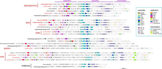 https://cdn.ncbi.nlm.nih.gov/pmc/blobs/795f/7886860/7b18dec73687/41467_2021_21350_Fig2_HTML.jpg