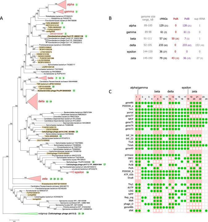 https://cdn.ncbi.nlm.nih.gov/pmc/blobs/795f/7886860/ba803528c4ba/41467_2021_21350_Fig1_HTML.jpg