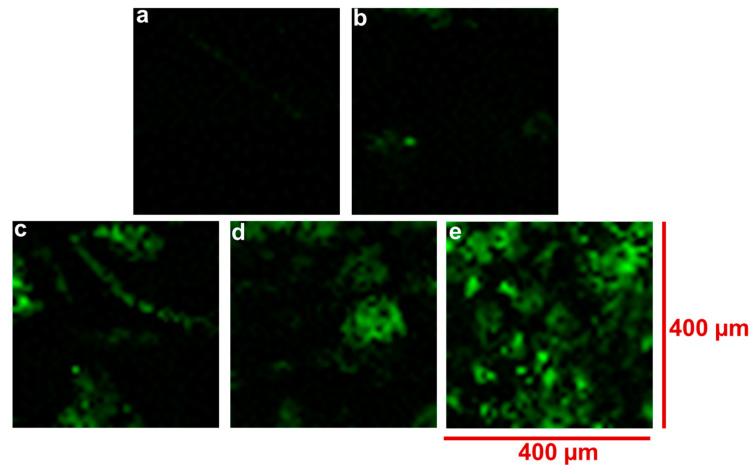https://cdn.ncbi.nlm.nih.gov/pmc/blobs/7960/9783119/0e57fe371797/materials-15-09030-g003.jpg