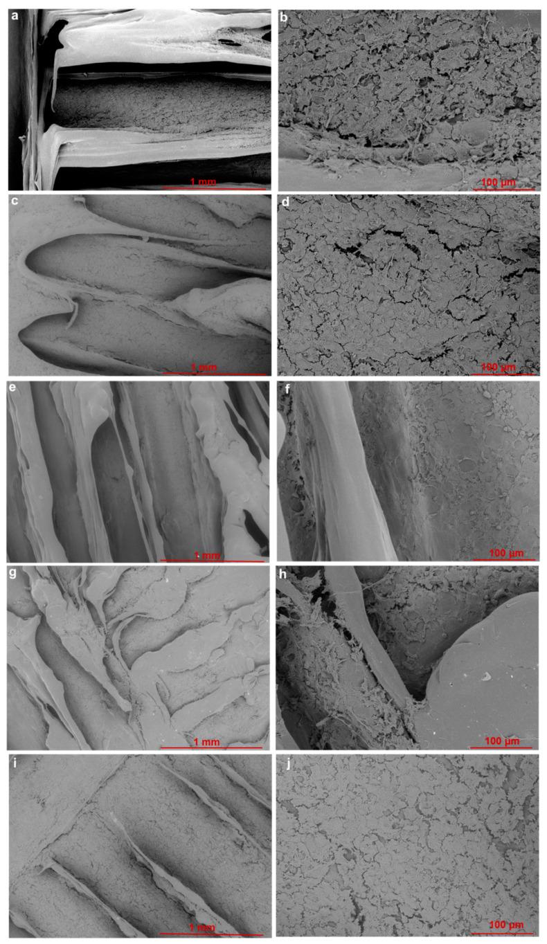 https://cdn.ncbi.nlm.nih.gov/pmc/blobs/7960/9783119/d61e27ce1dd9/materials-15-09030-g008.jpg