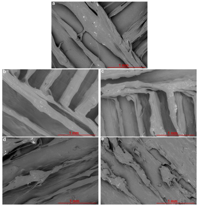 https://cdn.ncbi.nlm.nih.gov/pmc/blobs/7960/9783119/e68c7f212376/materials-15-09030-g001.jpg