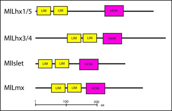 https://cdn.ncbi.nlm.nih.gov/pmc/blobs/7966/3283466/471e1bf18fd5/2041-9139-3-2-2.jpg