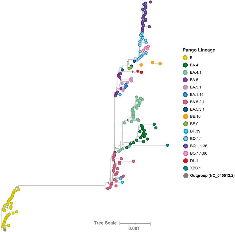 https://cdn.ncbi.nlm.nih.gov/pmc/blobs/7969/12397351/41f807fad791/41598_2025_17691_Fig1_HTML.jpg
