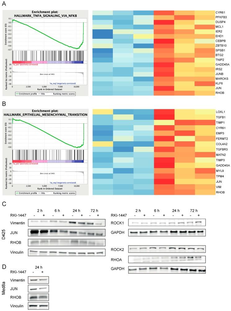 https://cdn.ncbi.nlm.nih.gov/pmc/blobs/796c/7016943/51f9e7971bb7/cancers-12-00073-g005.jpg
