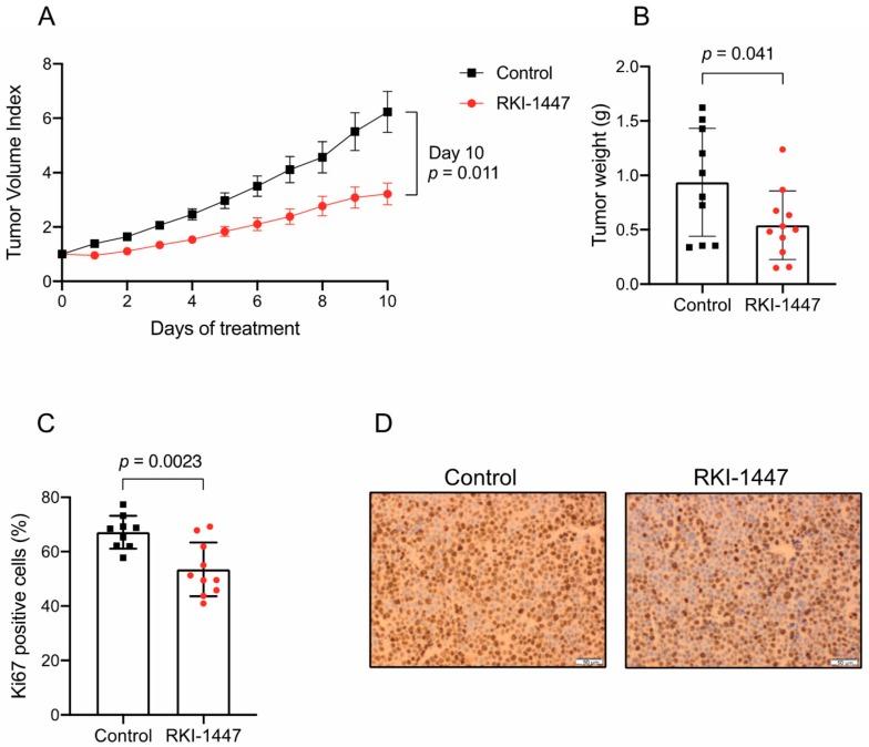https://cdn.ncbi.nlm.nih.gov/pmc/blobs/796c/7016943/6d4487dc92be/cancers-12-00073-g006.jpg