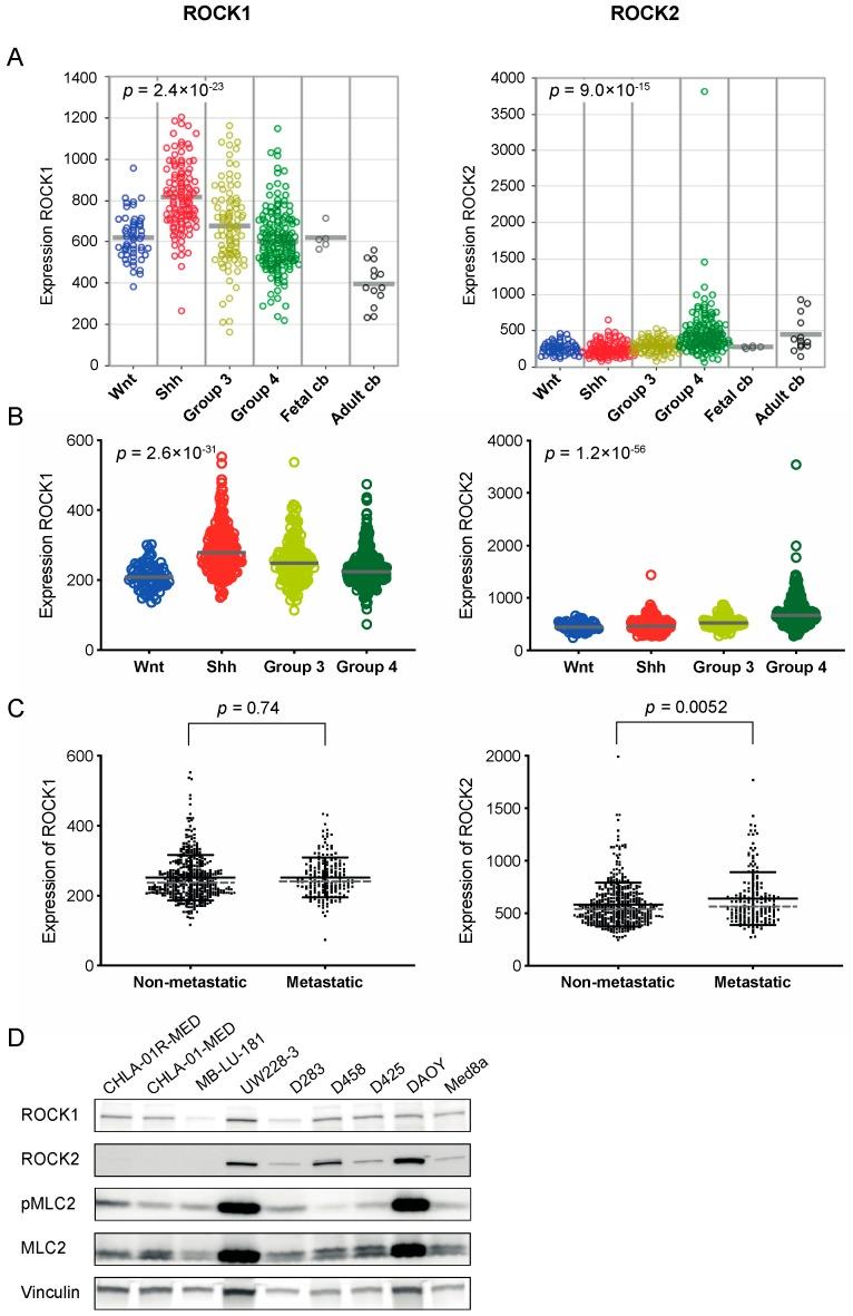 https://cdn.ncbi.nlm.nih.gov/pmc/blobs/796c/7016943/c84cd27d5764/cancers-12-00073-g001.jpg