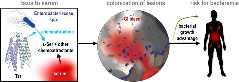 https://cdn.ncbi.nlm.nih.gov/pmc/blobs/7971/11142651/40fba643217d/elife-93178-fig9.jpg