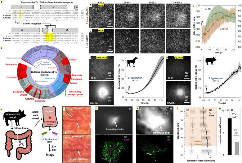 https://cdn.ncbi.nlm.nih.gov/pmc/blobs/7971/11142651/dbfc5901eb9d/elife-93178-fig8.jpg
