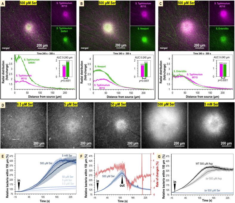 https://cdn.ncbi.nlm.nih.gov/pmc/blobs/7971/11142651/e4e01171f4c9/elife-93178-fig5.jpg