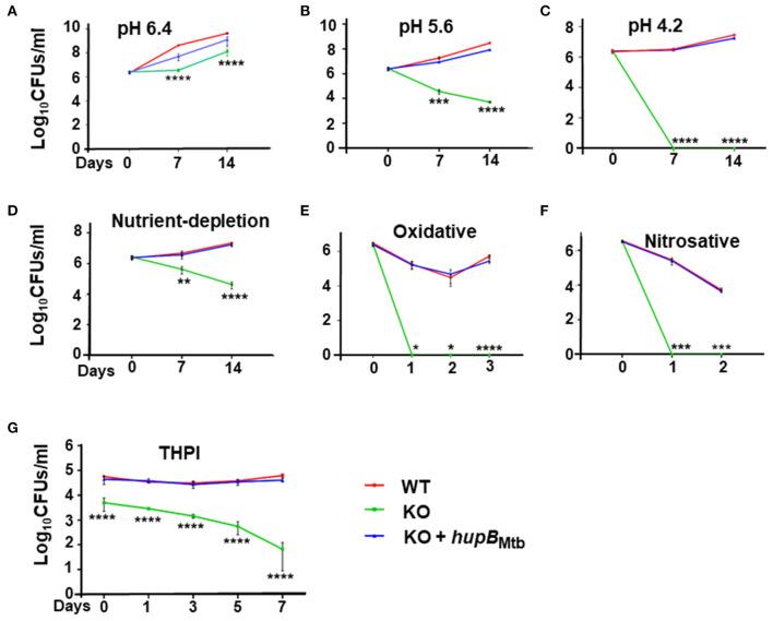 https://cdn.ncbi.nlm.nih.gov/pmc/blobs/7971/9441915/6752e9ad819a/fmicb-13-937970-g0003.jpg