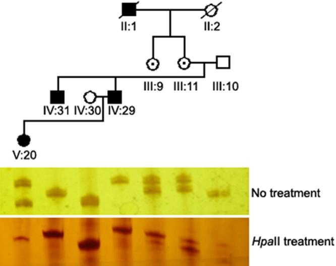 https://cdn.ncbi.nlm.nih.gov/pmc/blobs/7972/2267738/fe90b9f15836/mv-v14-56-f3.jpg